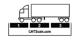 CAT Scales